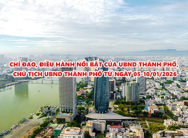 Video: Chỉ đạo, điều hành nổi bật của UBND thành phố, Chủ tịch UBND thành phố từ ngày 05-10/01/2026