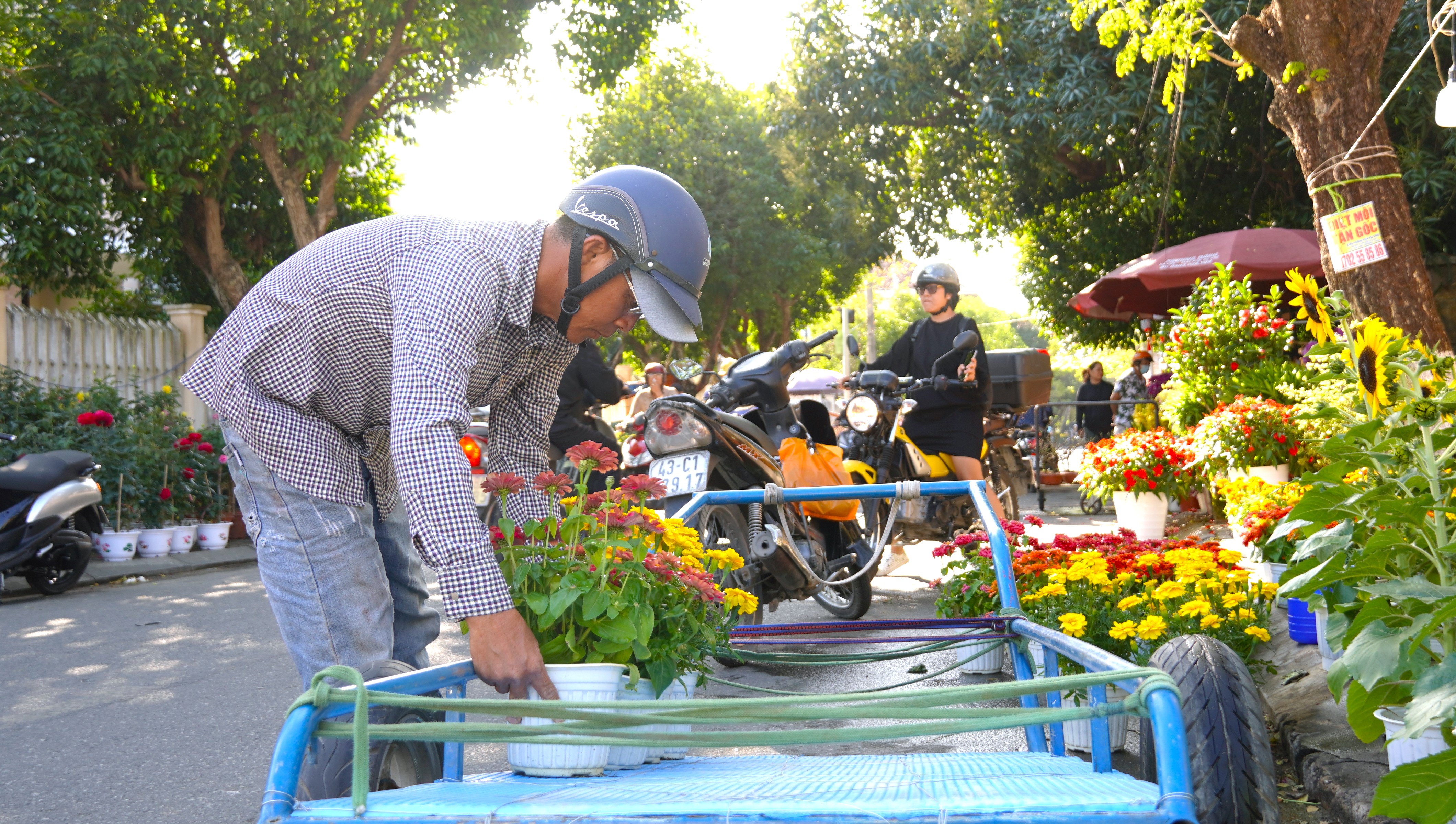 Nghề “thồ” cây cảnh dịp Tết