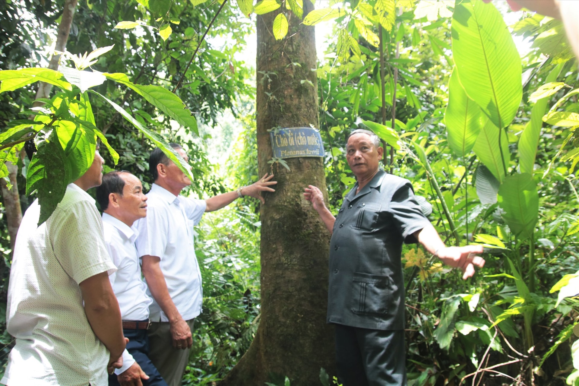 Thăm rừng Bác Năm Công – Hành trình về nguồn giữa đại ngàn Ngọc Linh