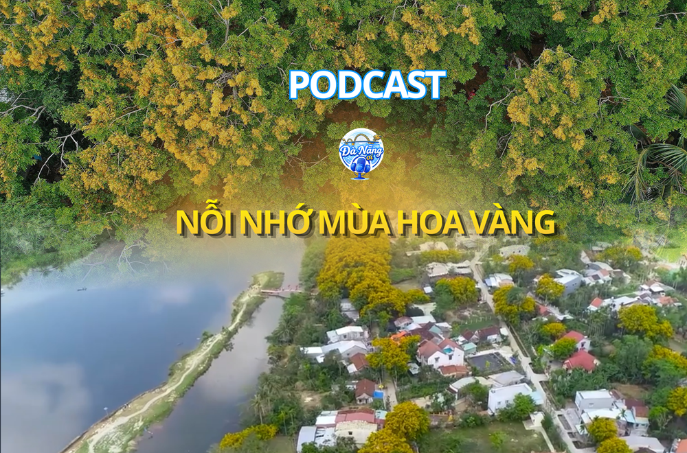 Podcast: Nỗi nhớ mùa hoa vàng
