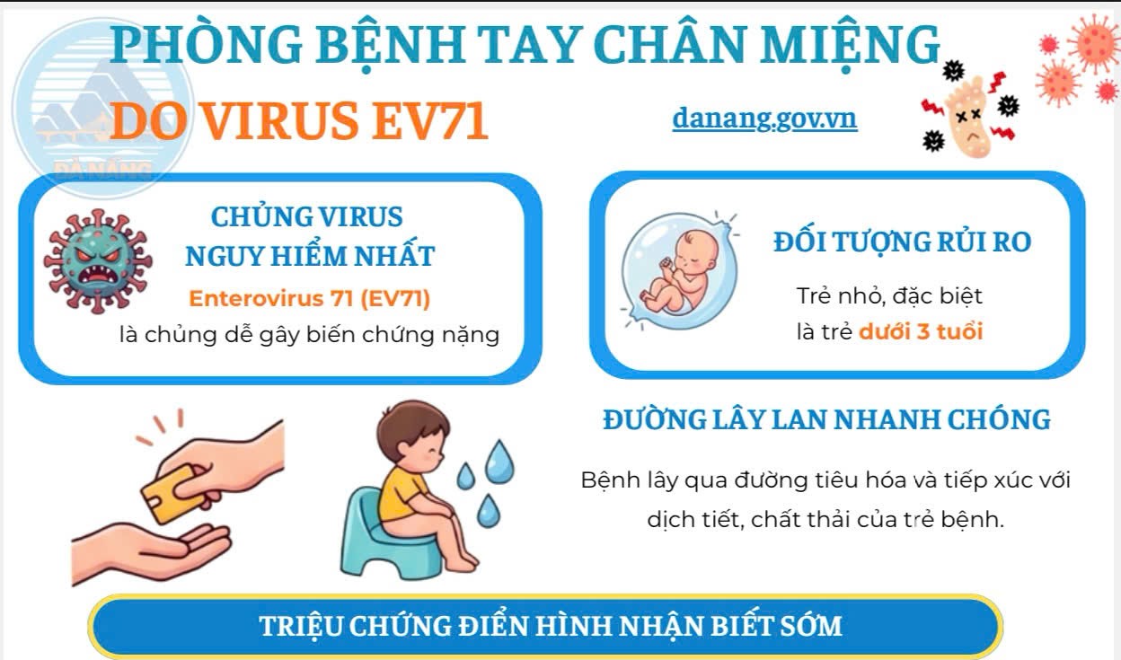 Infographic: Phòng bệnh tay chân miệng do virus EV71