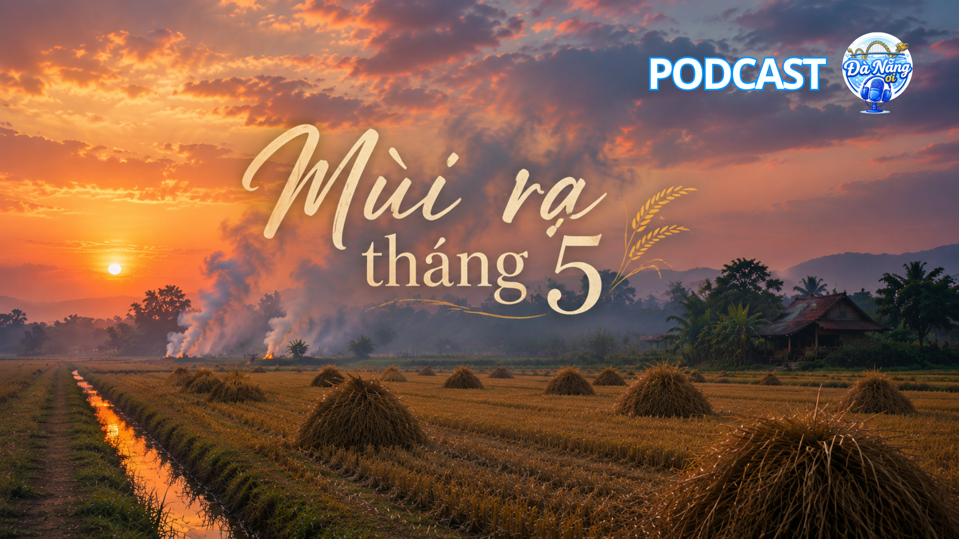 Podcast: Mùi rạ tháng 5